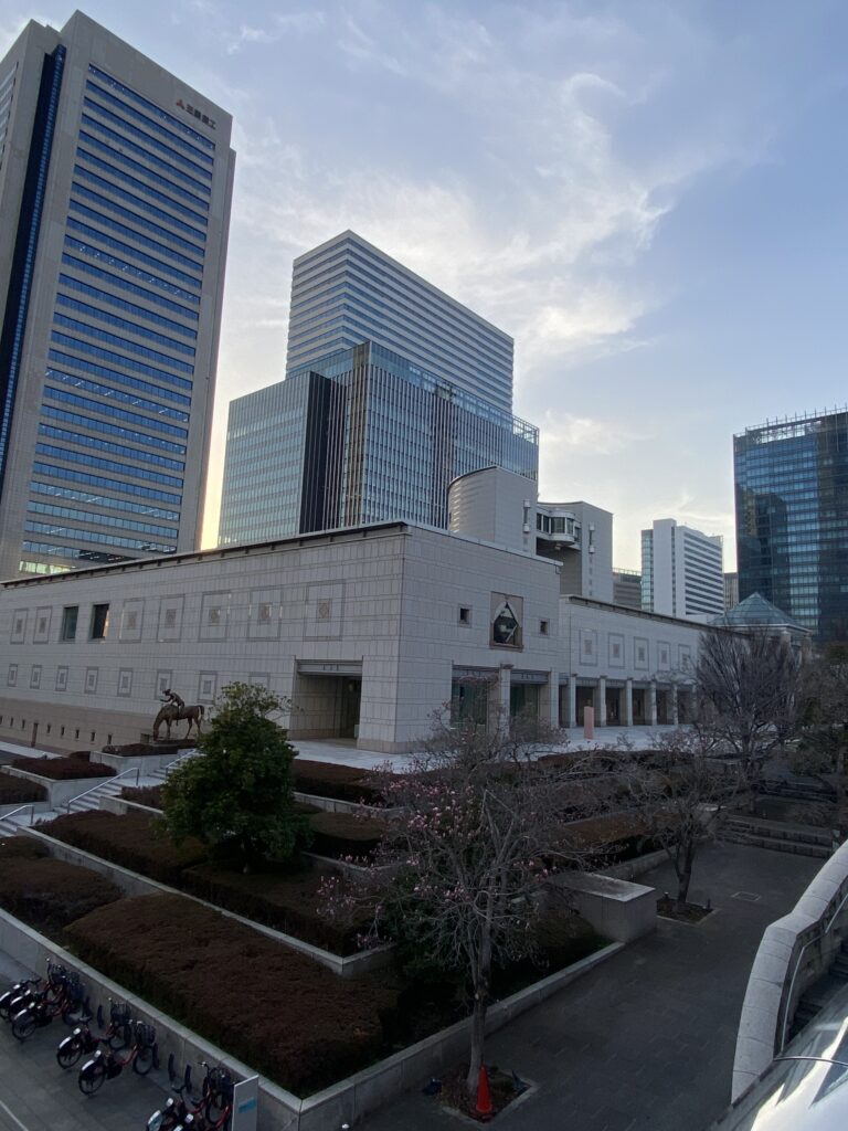 横浜美術館　木蓮