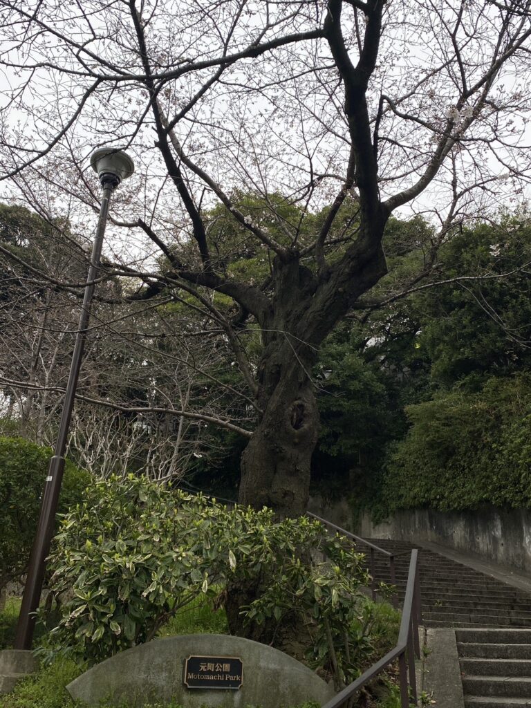 元町公園