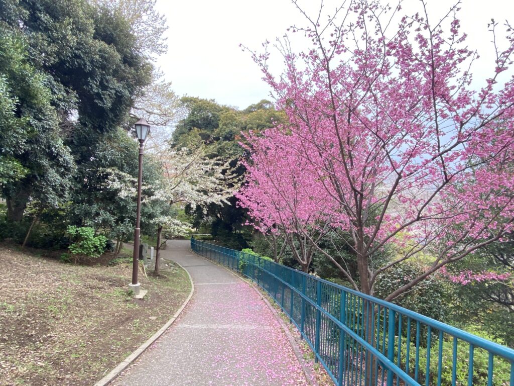 掃部山公園