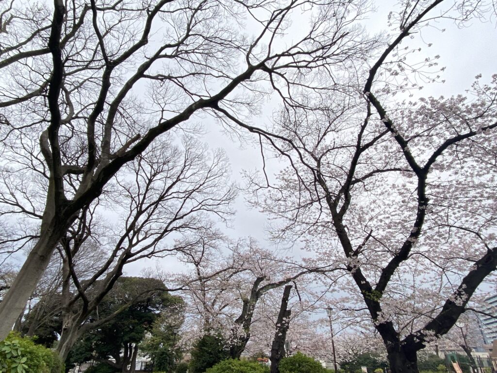 掃部山公園
