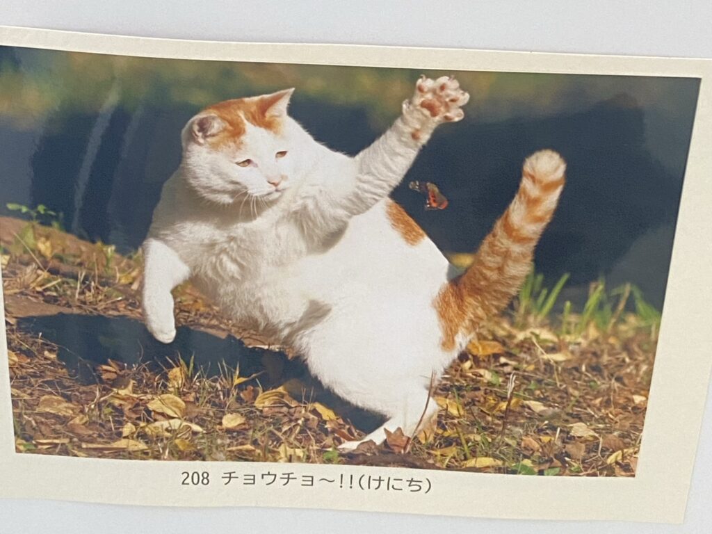 오사라기 지로우 기념관
