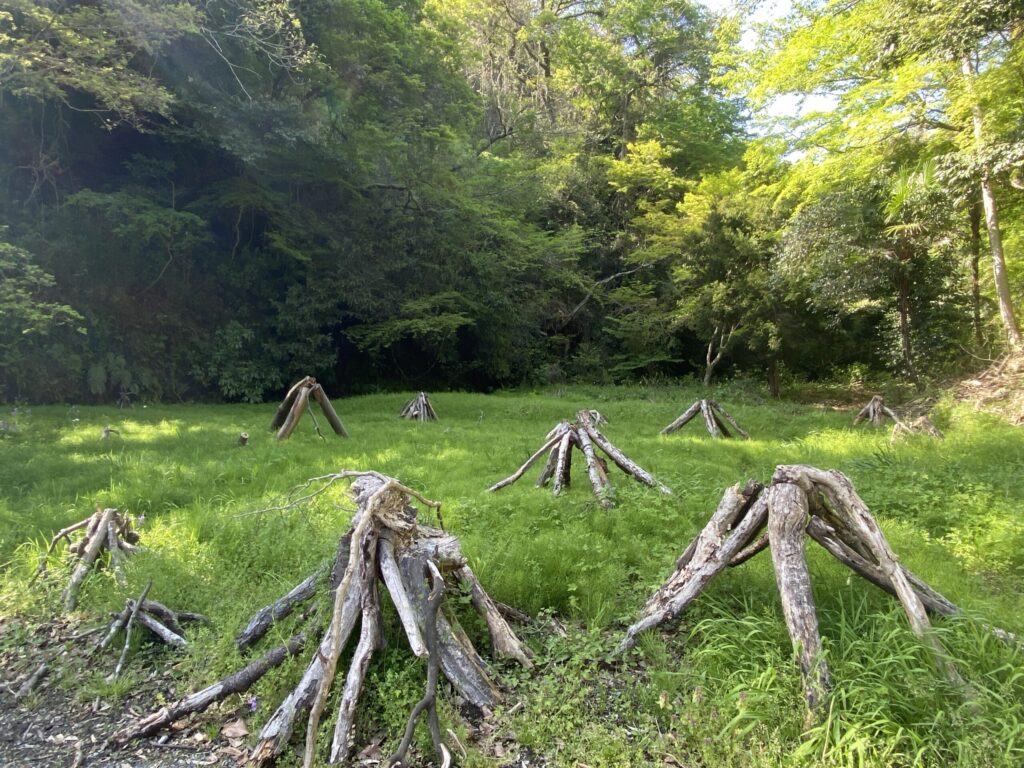 明月院通り　木のアート