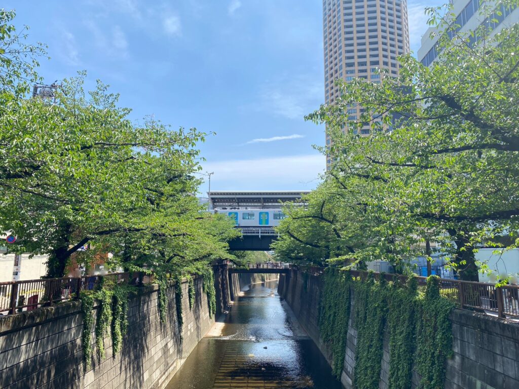 目黒川