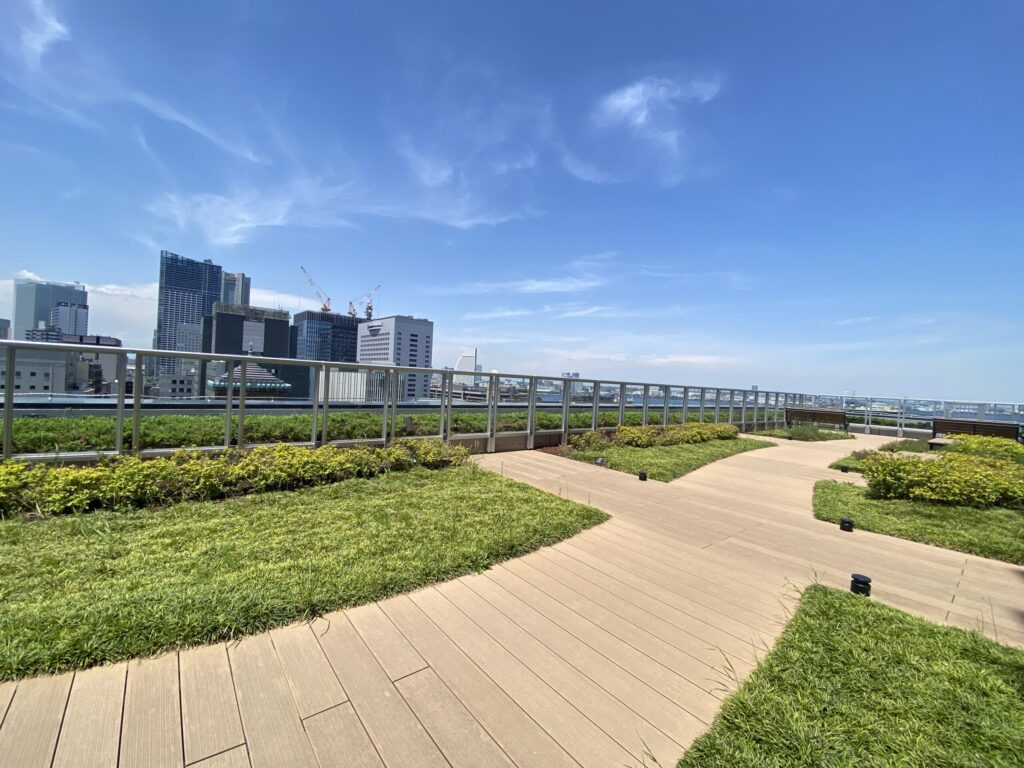 東庁舎11階テラス