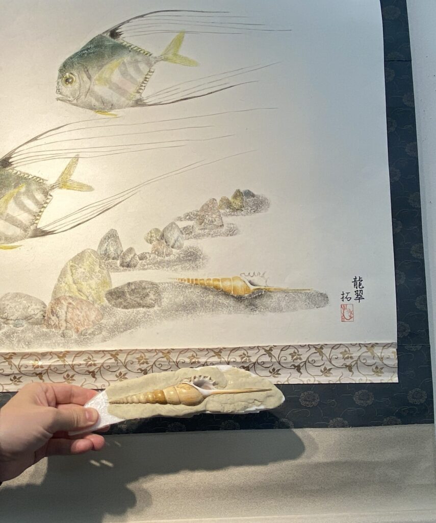 カラー魚拓展