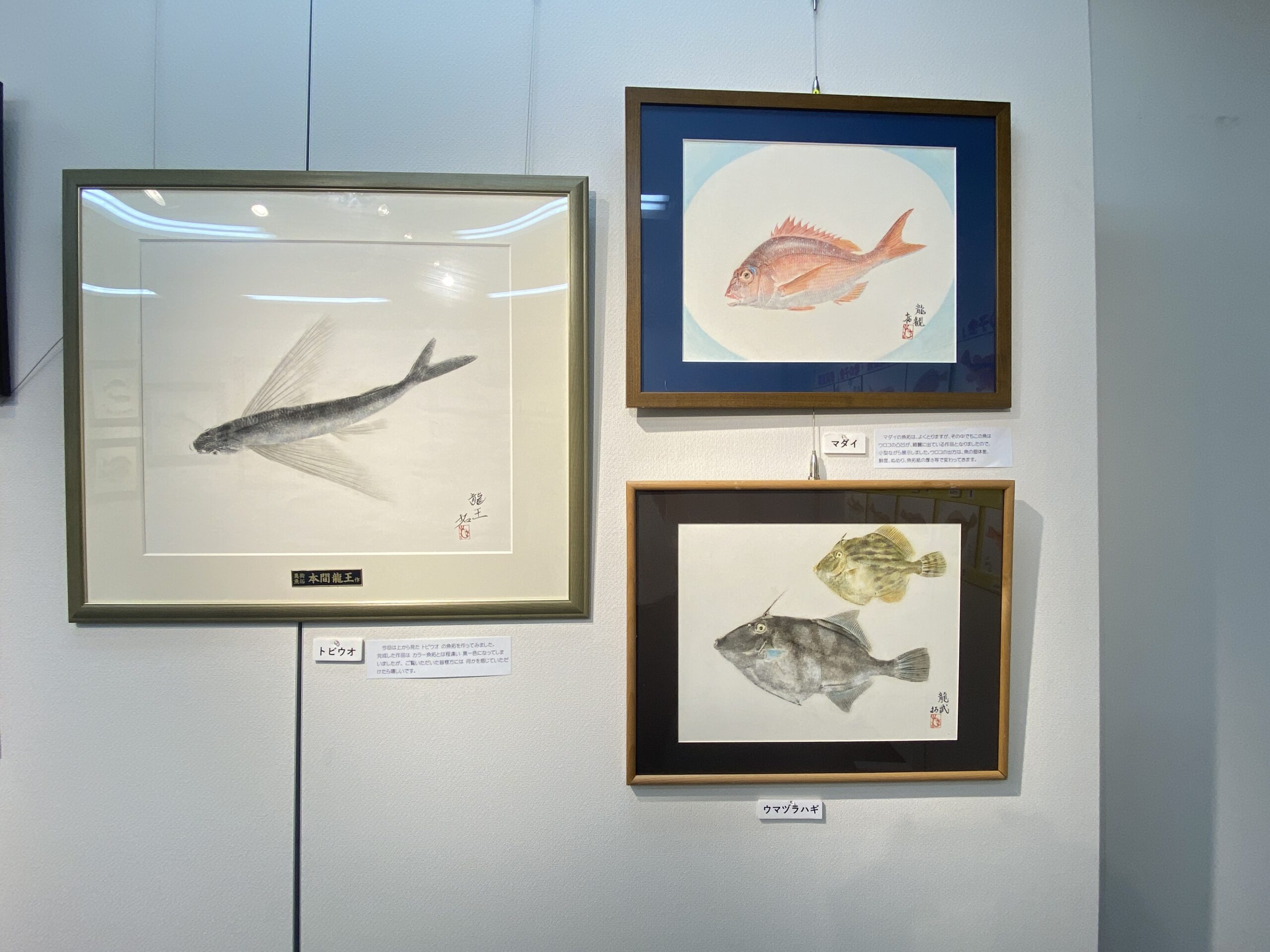 カラー魚拓