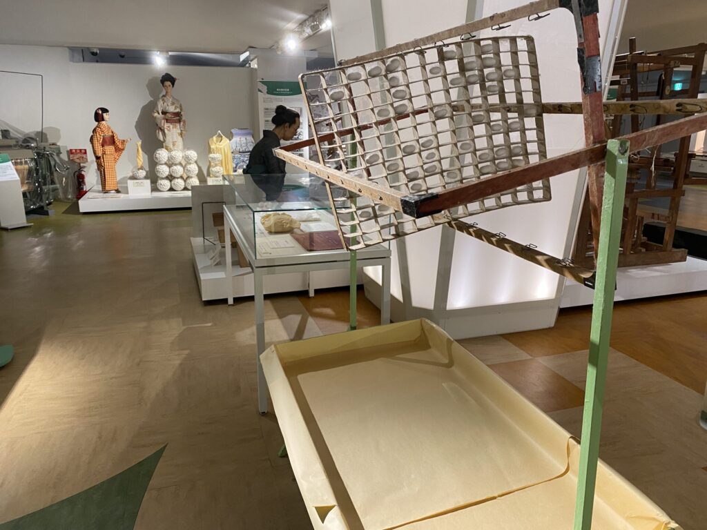 シルク博物館　カイコ