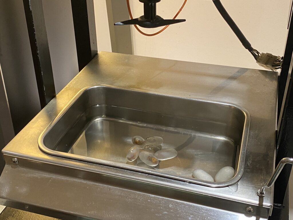 シルク博物館　糸くり