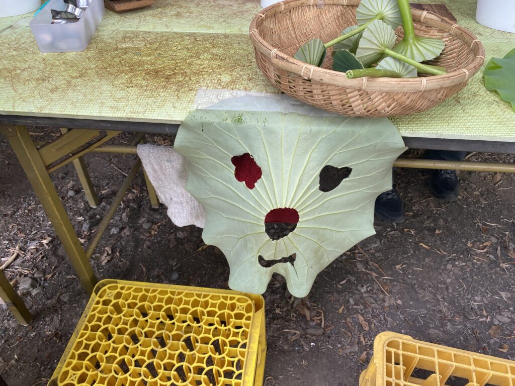 蓮の体験で作れるお面