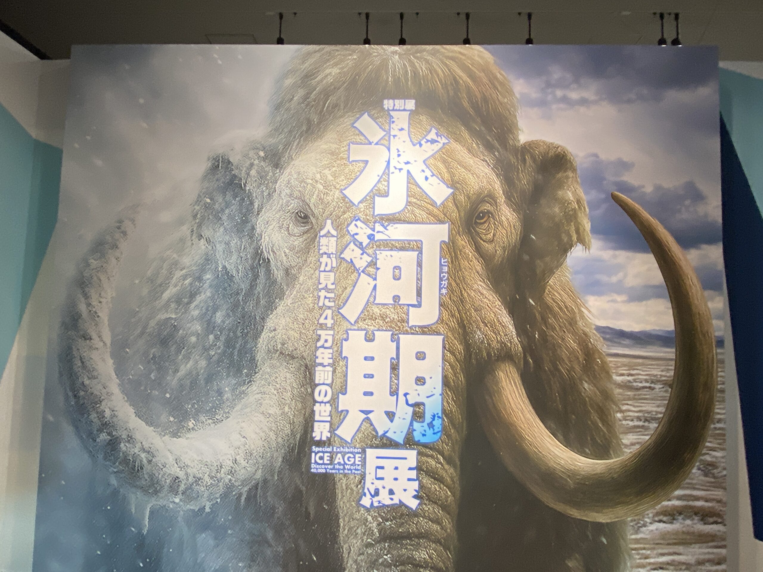 九州国立博物館「氷河期展」